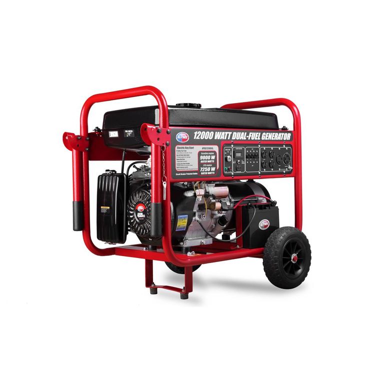All Power 12,000-Watt Dual Fuel Propane and Gasoline Powered Electric Start Portable Generator