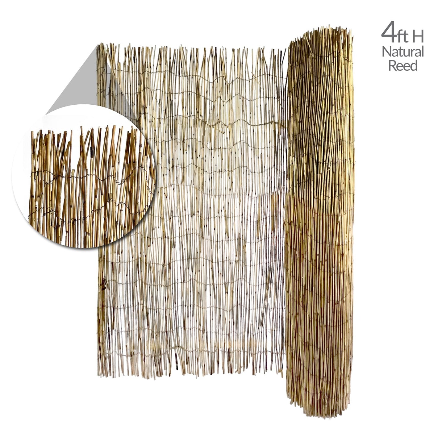 Garden Craft 8x4 FT Bamboo Reed Fencing - Light Brown, Durable & Versatile