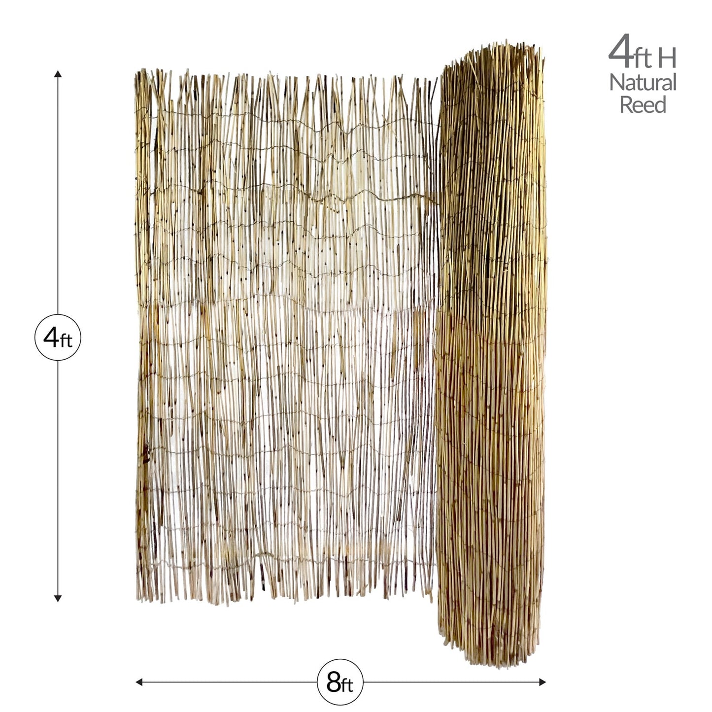 Garden Craft 8x4 FT Bamboo Reed Fencing - Light Brown, Durable & Versatile