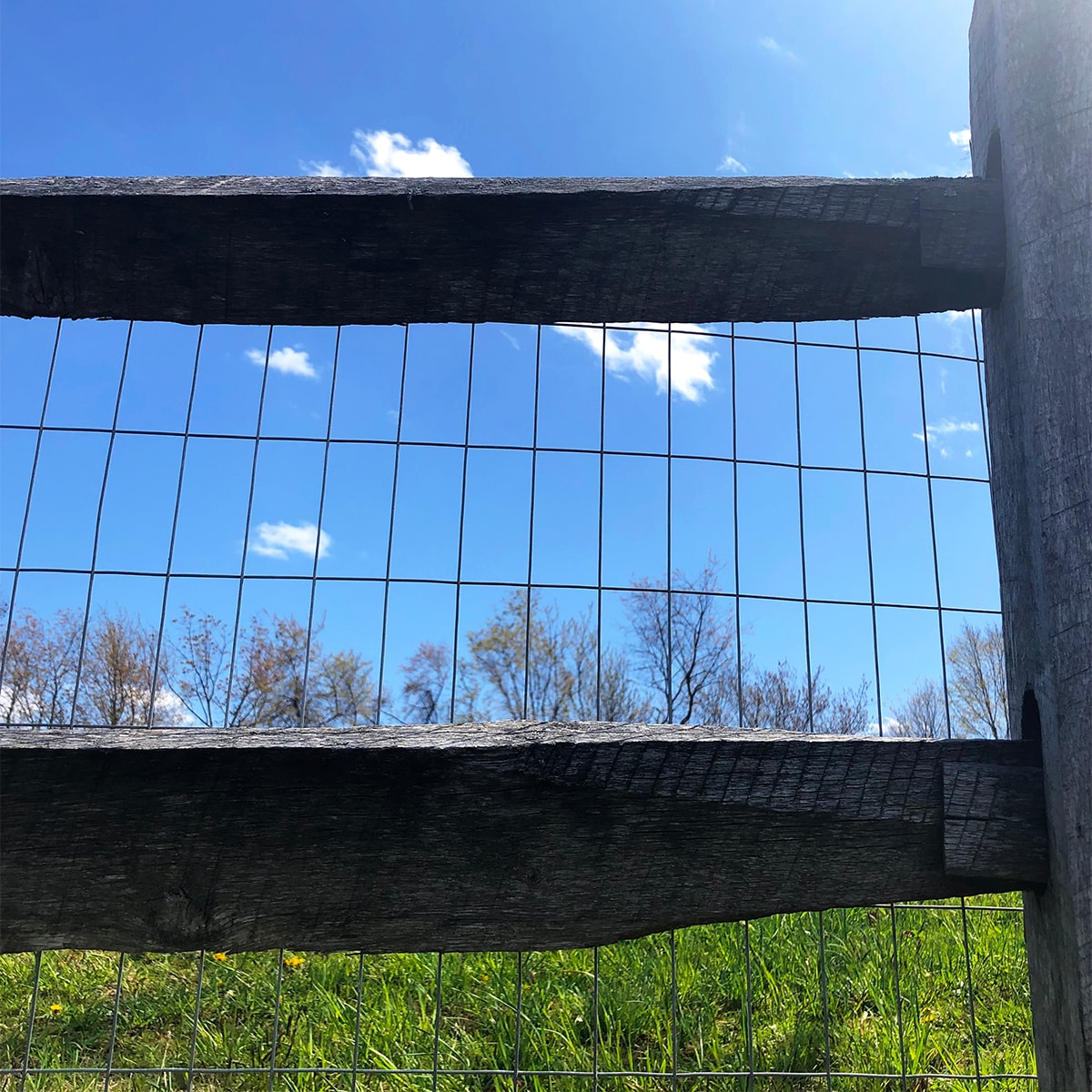 IRONRIDGE Gray Steel Welded Wire Rolled Fencing with Mesh Size 2-in x 4-in