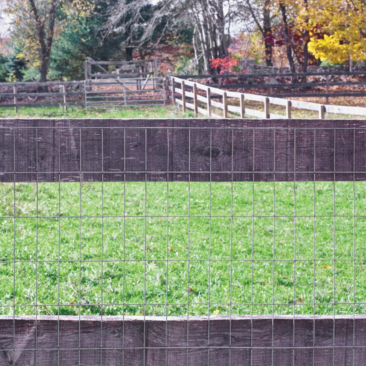 IRONRIDGE Gray Steel Welded Wire Rolled Fencing with Mesh Size 2-in x 4-in