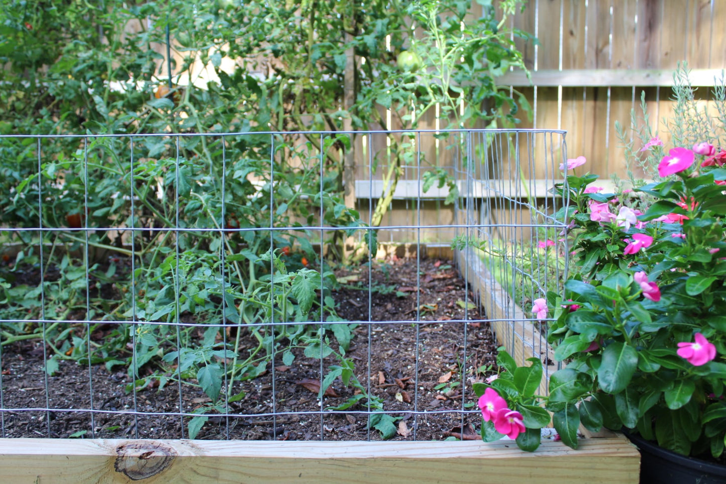 IRONRIDGE Gray Steel Welded Wire Rolled Fencing with Mesh Size 2-in x 4-in