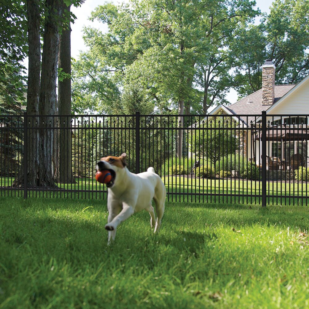 Freedom Concord/New Haven 6-ft H x 2-in W Black Aluminum Spaced Picket Flat-top Decorative Line Fence Post