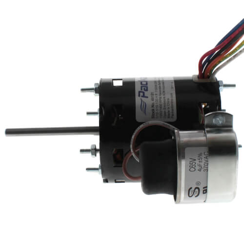 Packard 49101 inducer motor - detail view (Type: Permanent Split Capacitor; Voltage: 115/208-230v)