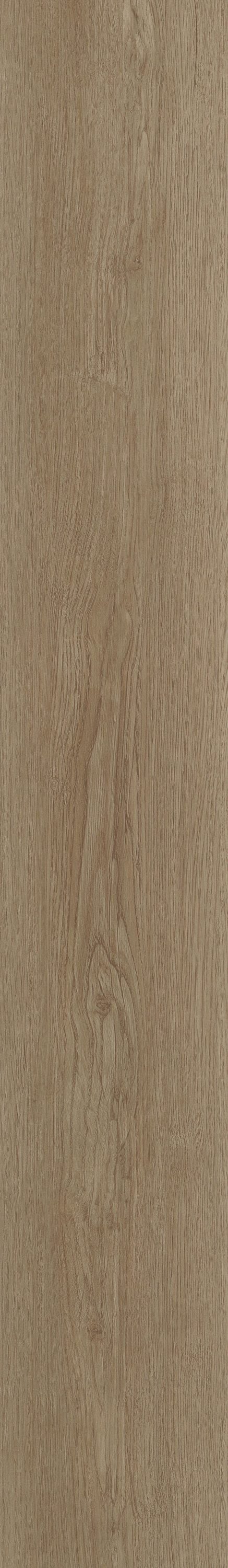 Shaw Boundless 8 Grand River Brown 8-mil x 7-in W x 48-in L Waterproof Glue Down Luxury Vinyl Plank Flooring (34.98-sq ft/ Carton)
