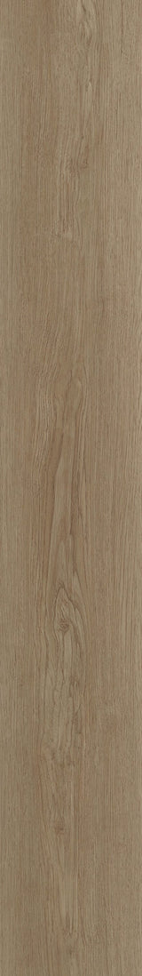Shaw Boundless 8 Grand River Brown 8-mil x 7-in W x 48-in L Waterproof Glue Down Luxury Vinyl Plank Flooring (34.98-sq ft/ Carton)