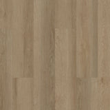 Shaw Boundless 8 Grand River Brown 8-mil x 7-in W x 48-in L Waterproof Glue Down Luxury Vinyl Plank Flooring (34.98-sq ft/ Carton)