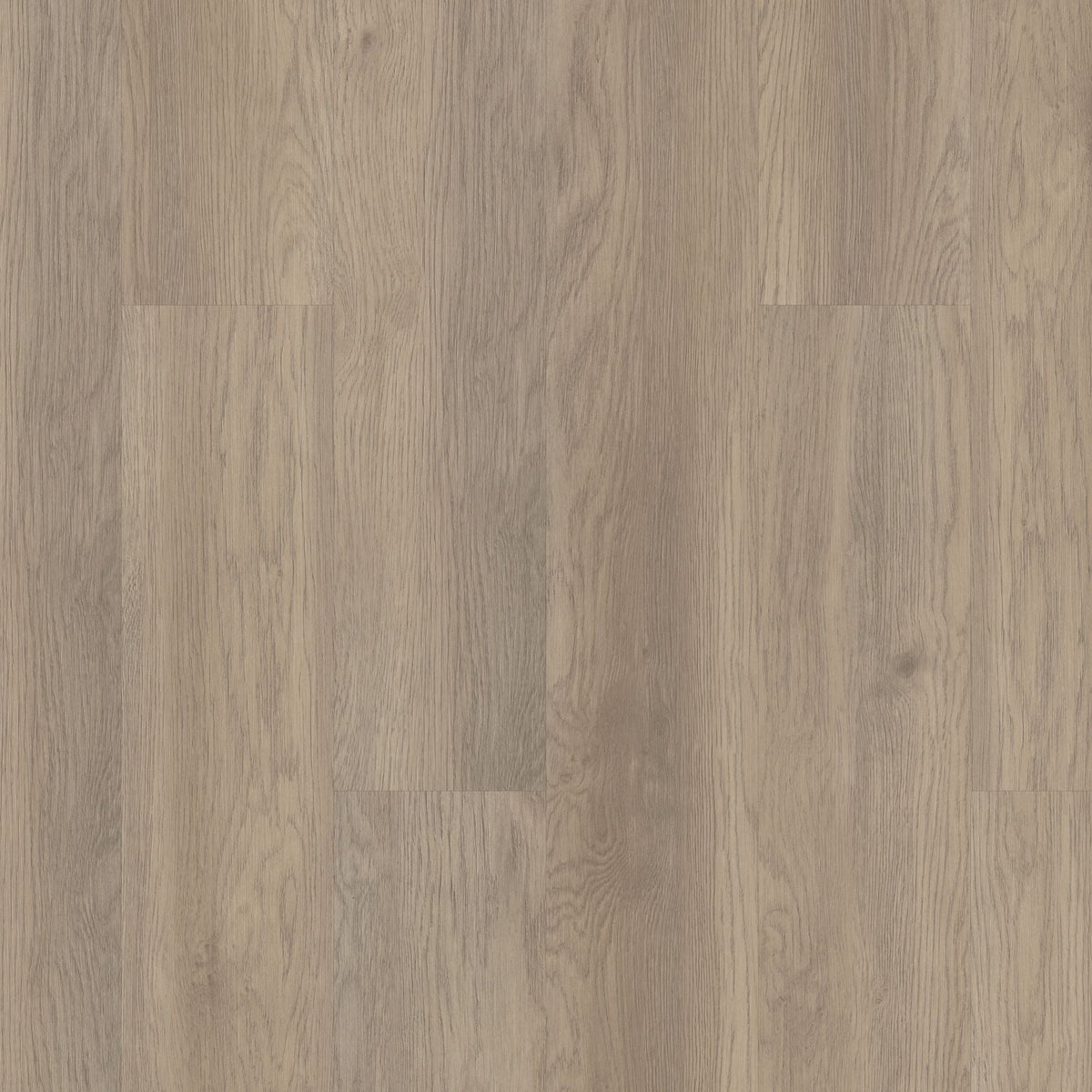 Shaw Boundless 8 Riverbank Brown 8-mil x 7-in W x 48-in L Waterproof Glue Down Luxury Vinyl Plank Flooring (34.98-sq ft/ Carton)