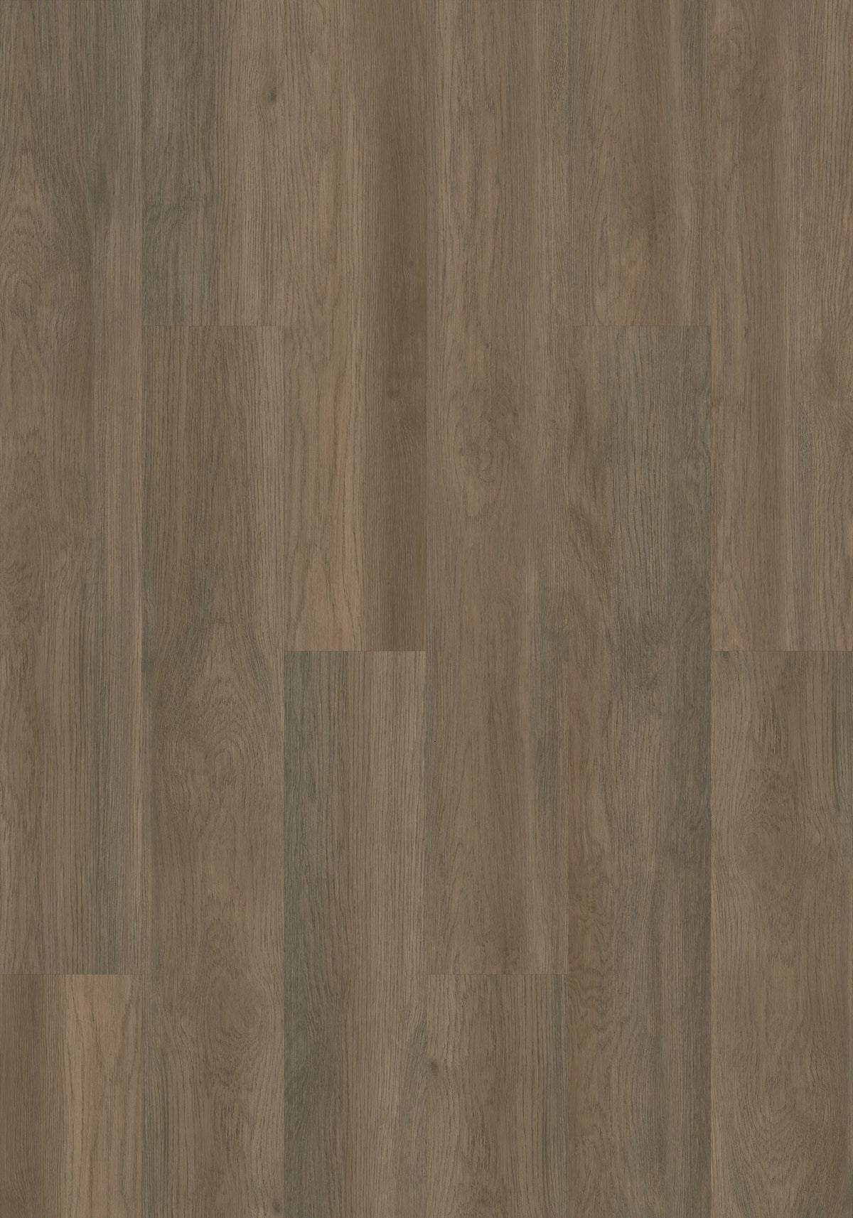 Shaw Boundless 8 Narrator Brown 8-mil x 7-in W x 48-in L Waterproof Glue Down Luxury Vinyl Plank Flooring (34.98-sq ft/ Carton)
