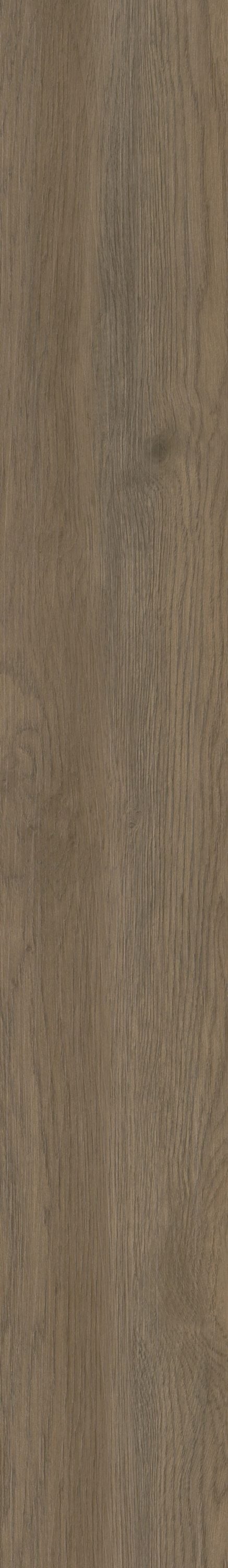 Shaw Boundless 8 Narrator Brown 8-mil x 7-in W x 48-in L Waterproof Glue Down Luxury Vinyl Plank Flooring (34.98-sq ft/ Carton)