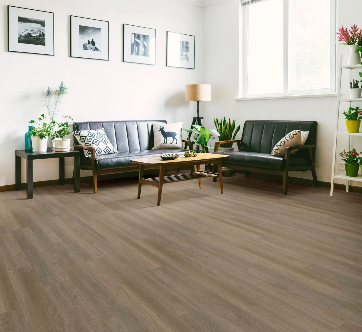 Shaw Boundless 8 Narrator Brown 8-mil x 7-in W x 48-in L Waterproof Glue Down Luxury Vinyl Plank Flooring (34.98-sq ft/ Carton)