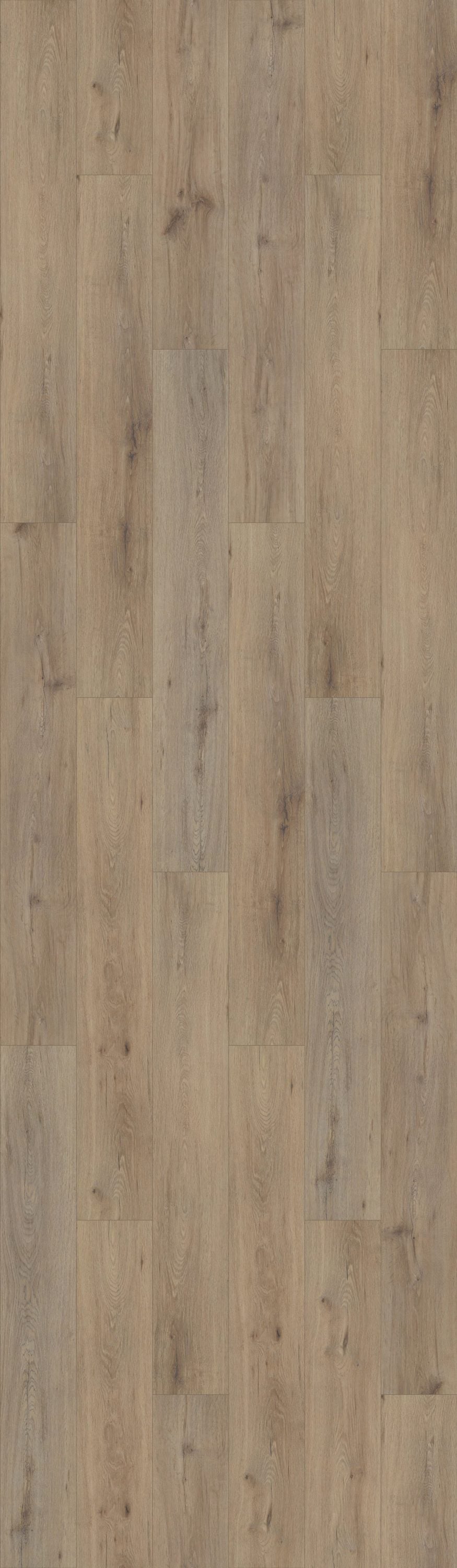 Shaw Tundra Plus Wild Sands 7-in Wide x 5-mm Thick Waterproof Luxury Vinyl Plank Flooring (18.91-sq ft)