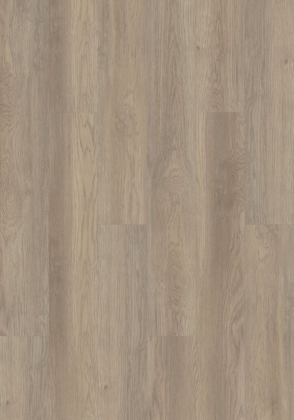 Shaw Boundless 8 Riverbank Brown 8-mil x 7-in W x 48-in L Waterproof Glue Down Luxury Vinyl Plank Flooring (34.98-sq ft/ Carton)