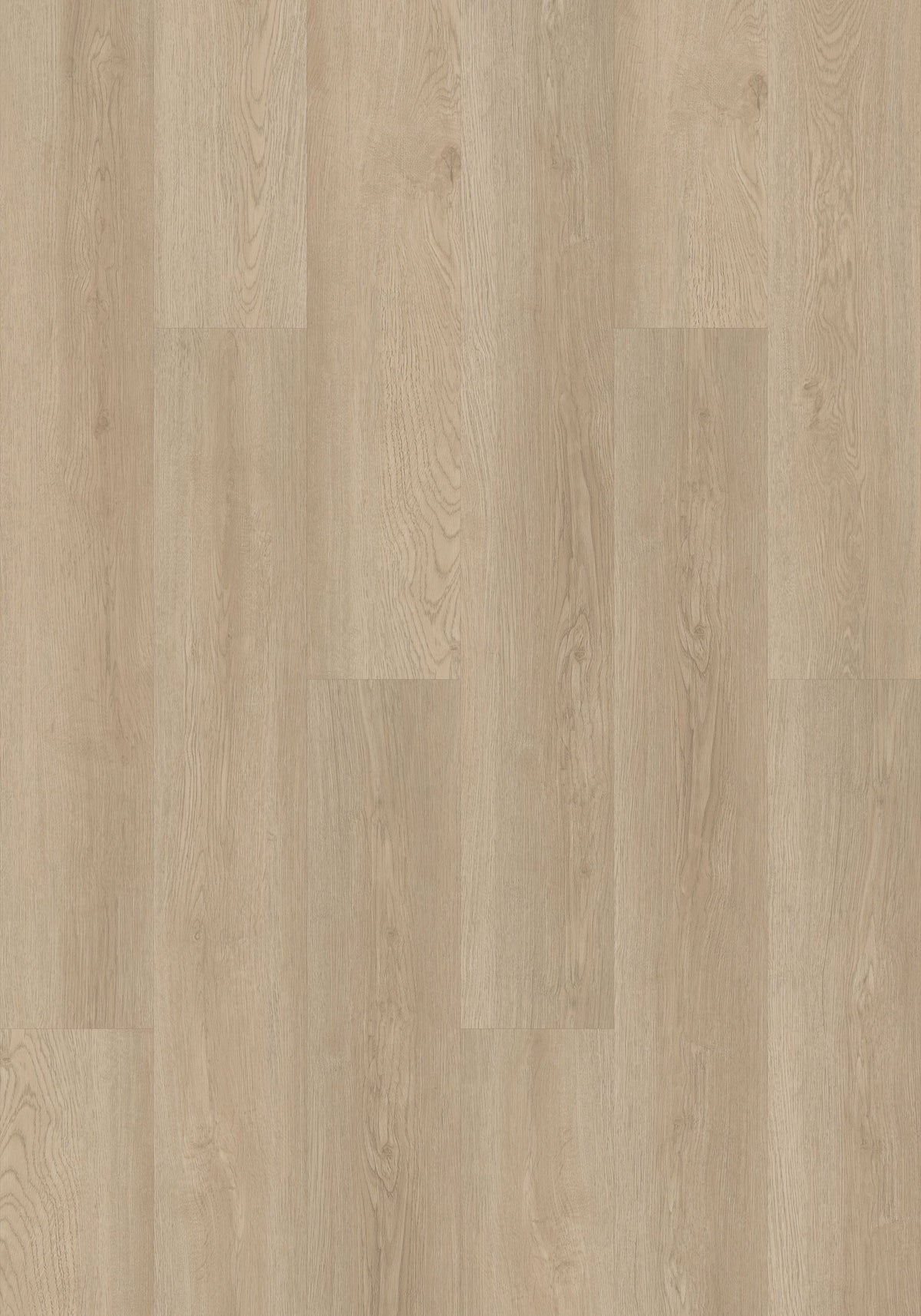 Shaw Boundless 8 Soft Field Brown 8-mil x 7-in W x 48-in L Waterproof Glue Down Luxury Vinyl Plank Flooring (34.98-sq ft/ Carton)