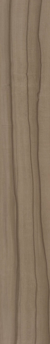 Shaw (Sample) Boundless 8 Paradise Brown Wood Look 8-mil Waterproof Glue Down Luxury Vinyl Plank