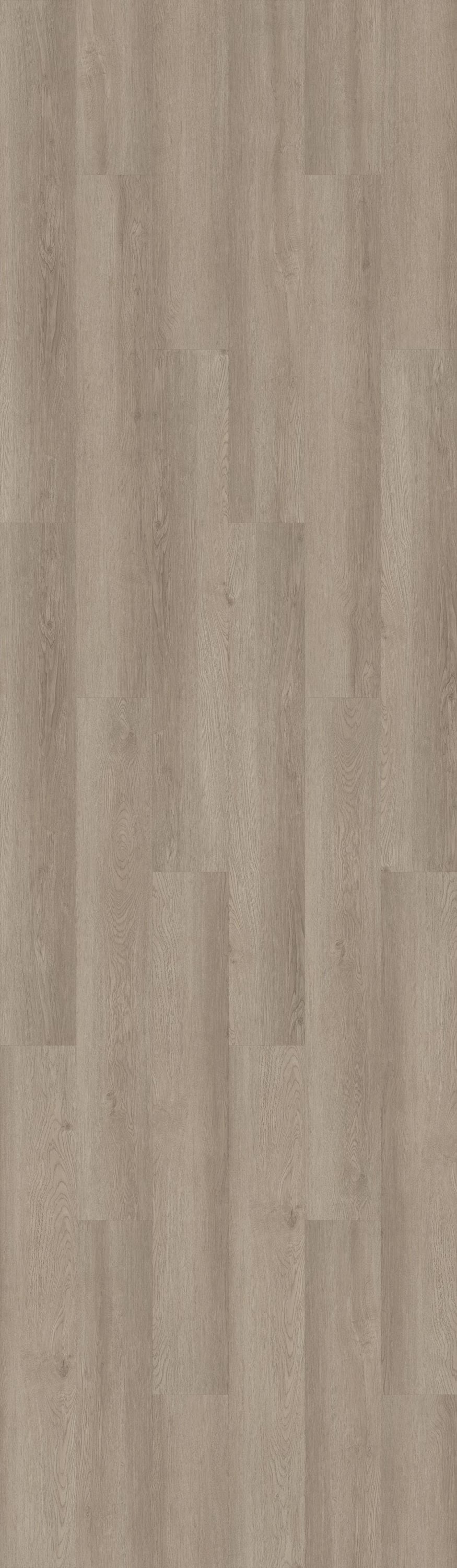 Shaw Boundless 8 Meadow Brown 8-mil x 7-in W x 48-in L Waterproof Glue Down Luxury Vinyl Plank Flooring (34.98-sq ft/ Carton)