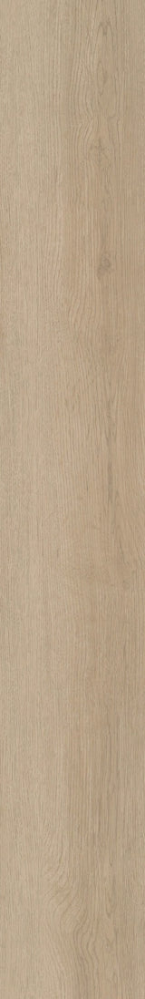 Shaw (Sample) Boundless 8 Soft Field Brown Wood Look 8-mil Waterproof Glue Down Luxury Vinyl Plank