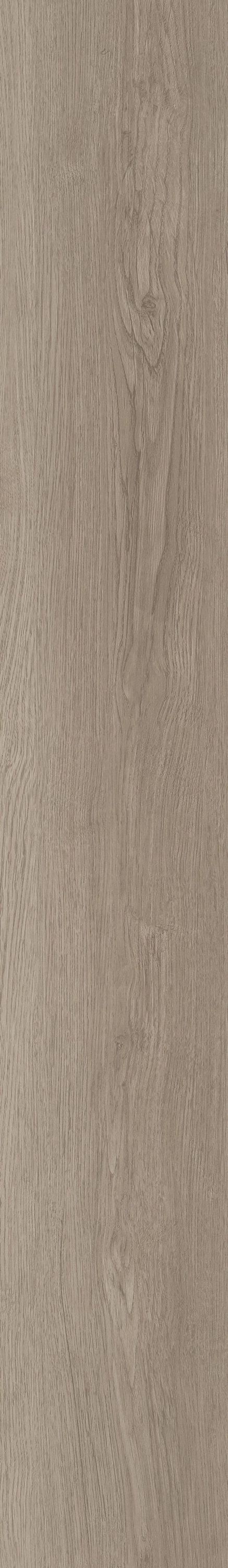 Shaw Boundless 8 Meadow Brown 8-mil x 7-in W x 48-in L Waterproof Glue Down Luxury Vinyl Plank Flooring (34.98-sq ft/ Carton)