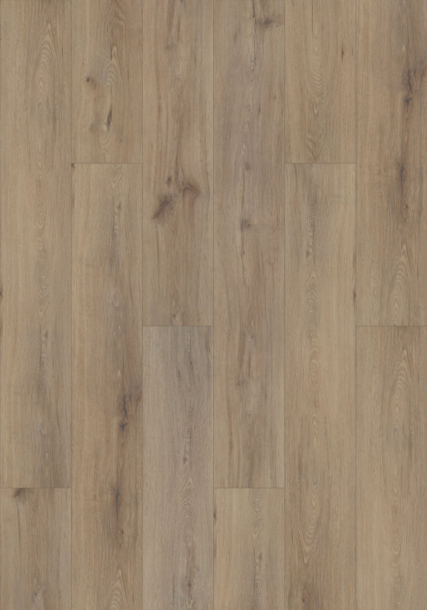 Shaw Tundra Plus Wild Sands 7-in Wide x 5-mm Thick Waterproof Luxury Vinyl Plank Flooring (18.91-sq ft)