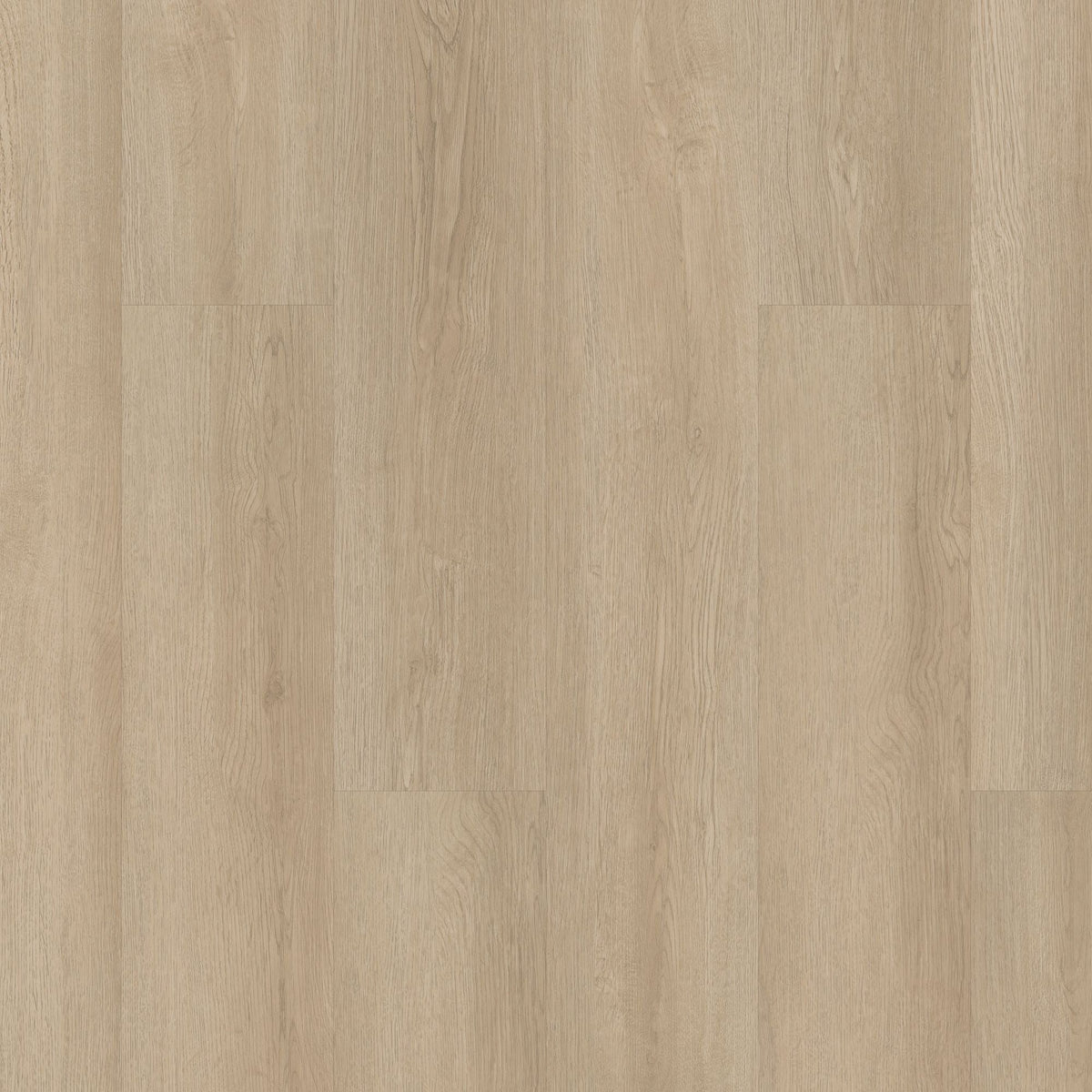 Shaw Boundless 8 Soft Field Brown 8-mil x 7-in W x 48-in L Waterproof Glue Down Luxury Vinyl Plank Flooring (34.98-sq ft/ Carton)