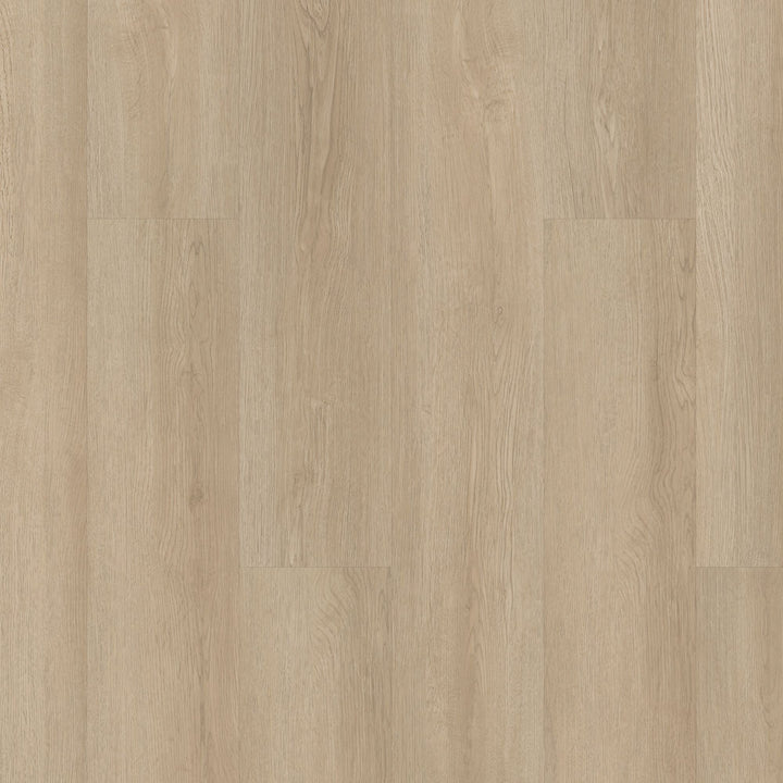 Shaw (Sample) Boundless 8 Soft Field Brown Wood Look 8-mil Waterproof Glue Down Luxury Vinyl Plank