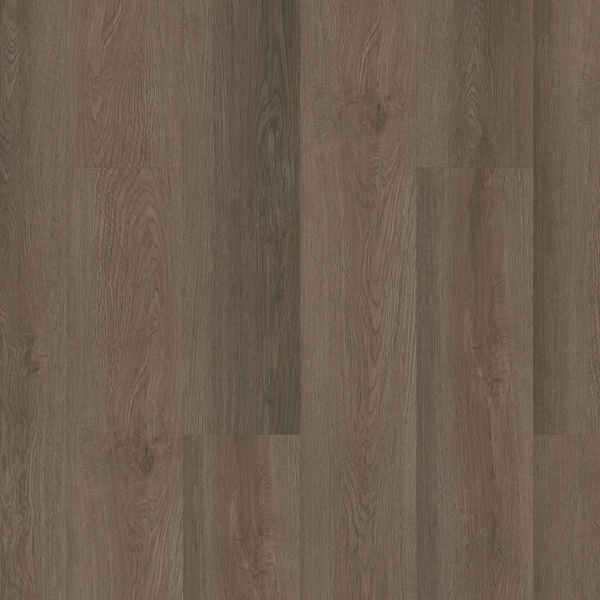 Shaw Boundless 8 Highway Brown 8-mil x 7-in W x 48-in L Waterproof Glue Down Luxury Vinyl Plank Flooring (34.98-sq ft/ Carton)