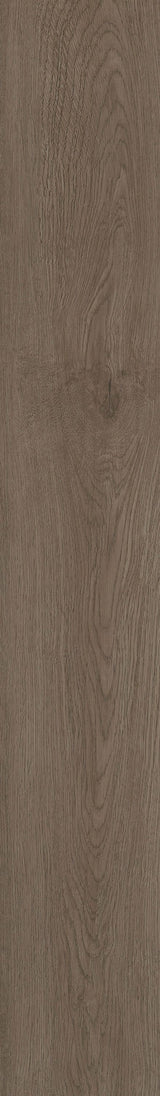 Shaw Boundless 8 Highway Brown 8-mil x 7-in W x 48-in L Waterproof Glue Down Luxury Vinyl Plank Flooring (34.98-sq ft/ Carton)
