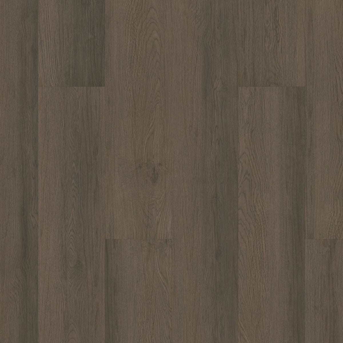 Shaw Boundless 8 Artistic Brown 8-mil x 7-in W x 48-in L Waterproof Glue Down Luxury Vinyl Plank Flooring (34.98-sq ft/ Carton)