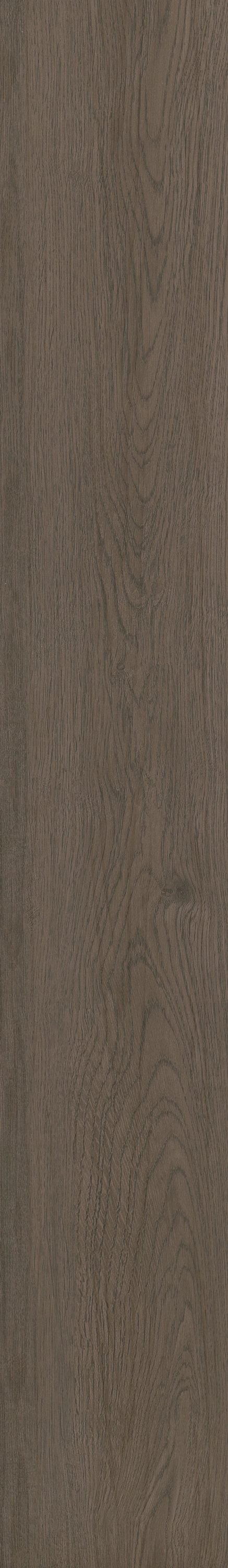 Shaw Boundless 8 Artistic Brown 8-mil x 7-in W x 48-in L Waterproof Glue Down Luxury Vinyl Plank Flooring (34.98-sq ft/ Carton)