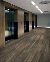Shaw Downtown Lakeview Drive Brown 8-mil x 6-in W x 48-in L Waterproof Glue Down Luxury Vinyl Plank Flooring (53.63-sq ft/ Carton)