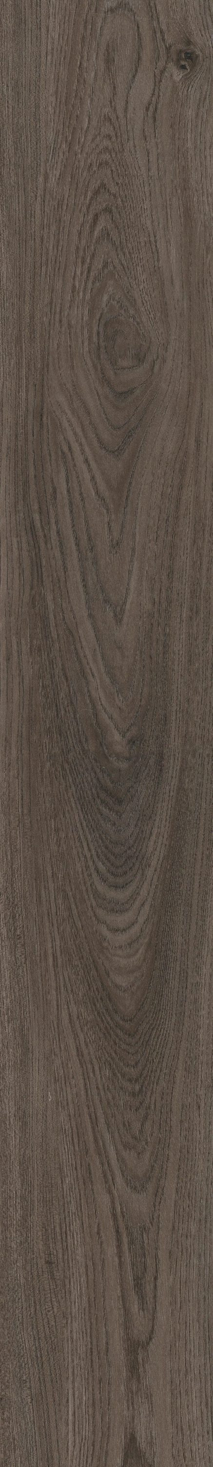 Shaw Reflection 12 Gilded Elm 7-in Wide x 2-mm Thick Water Resistant Luxury Vinyl Plank Flooring (35-sq ft)