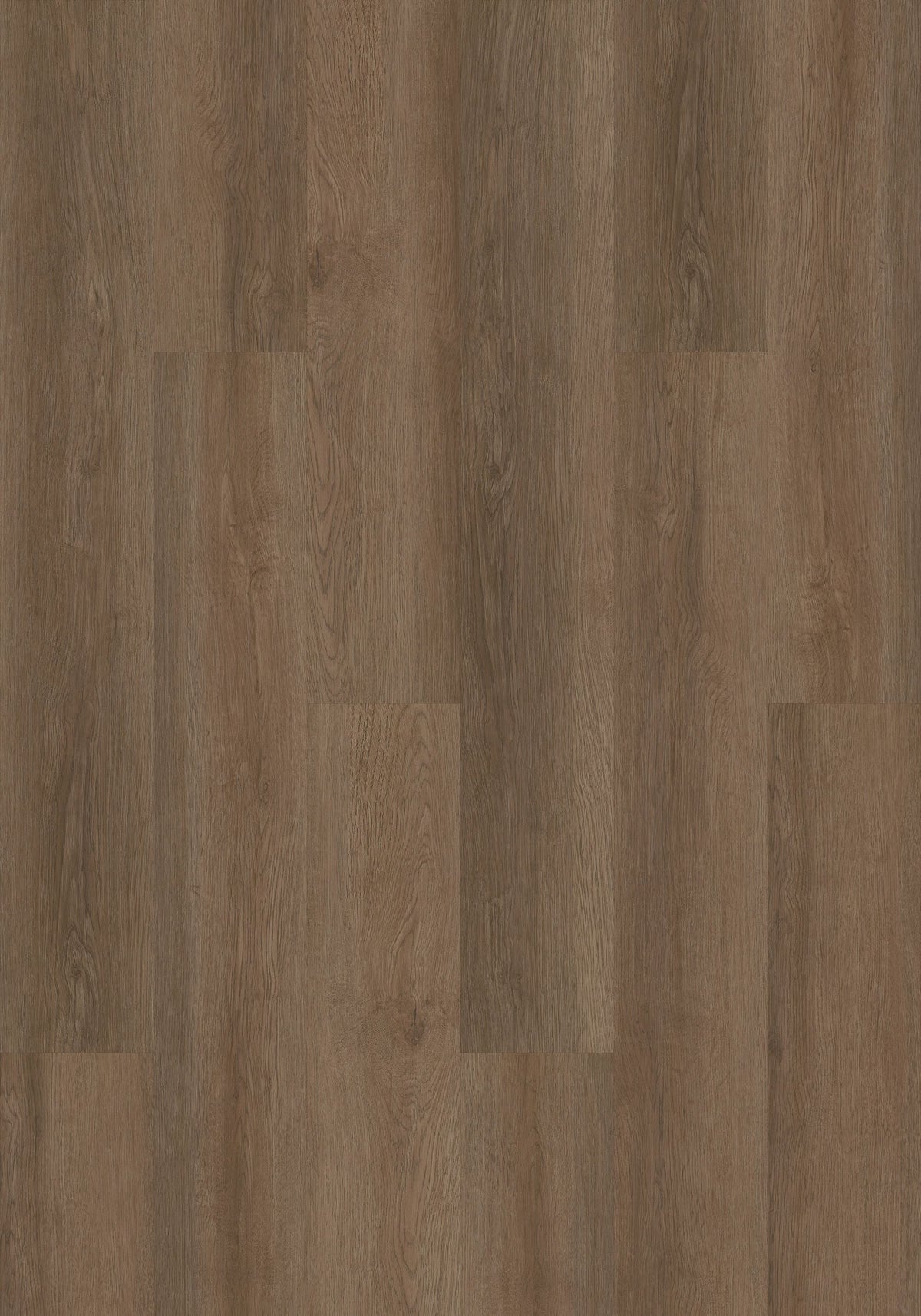 Shaw Boundless 8 Live Sienna Brown 8-mil x 7-in W x 48-in L Waterproof Glue Down Luxury Vinyl Plank Flooring (34.98-sq ft/ Carton)