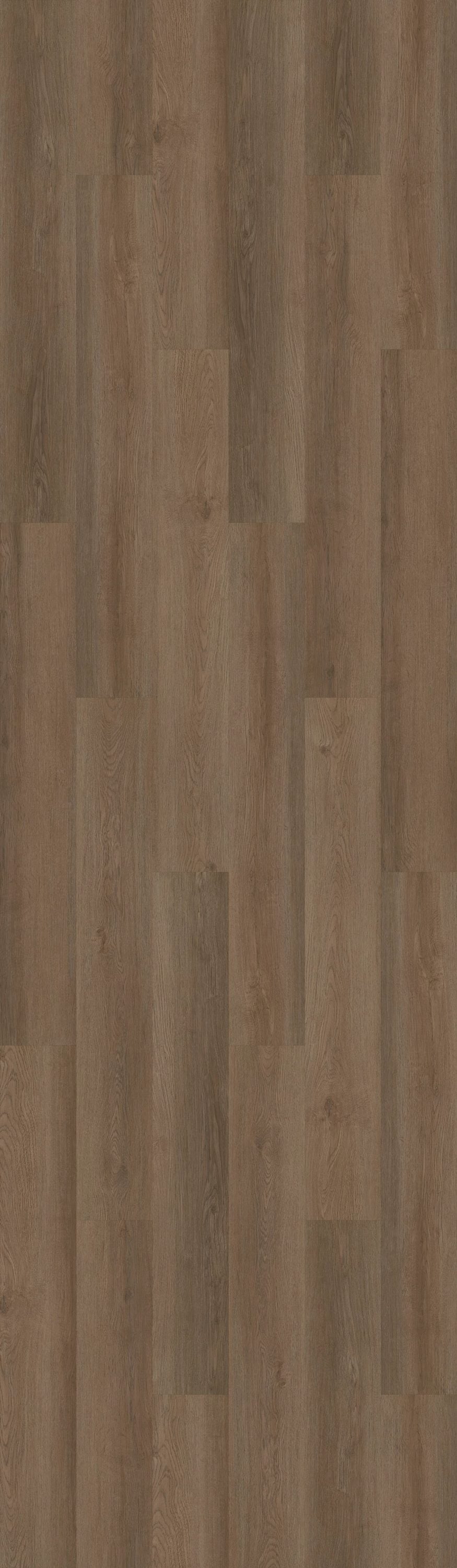 Shaw Boundless 8 Live Sienna Brown 8-mil x 7-in W x 48-in L Waterproof Glue Down Luxury Vinyl Plank Flooring (34.98-sq ft/ Carton)