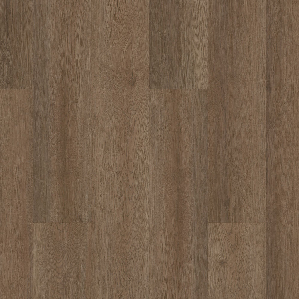 Shaw Boundless 8 Live Sienna Brown 8-mil x 7-in W x 48-in L Waterproof Glue Down Luxury Vinyl Plank Flooring (34.98-sq ft/ Carton)