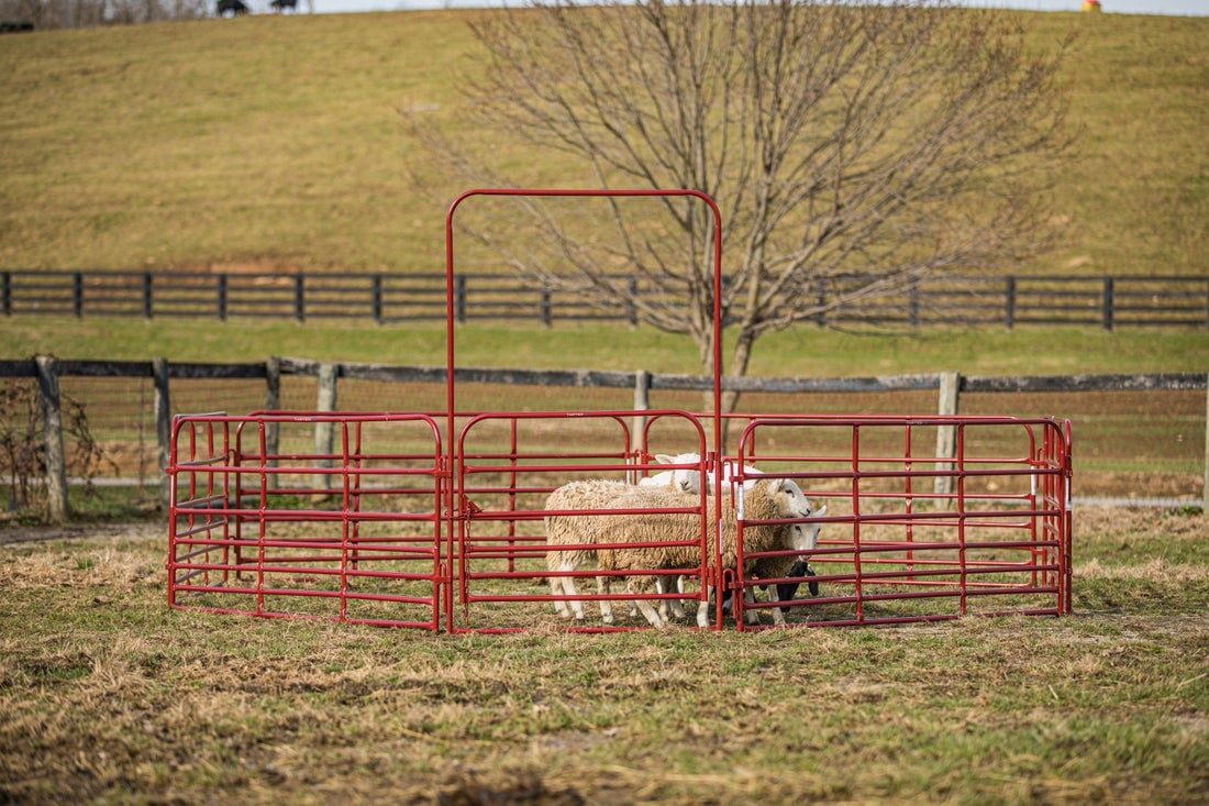 Tarter 6-ft H x 4-ft W Red Powder Coat Steel Corral Flat-top Farm Fence Gate