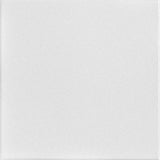 A La Maison Ceilings 1.67-ft x 1.67-ft Basic Plain White Polystyrene Surface-mount Ceiling Tile (8-Pack, 21.6-sq ft / Case)