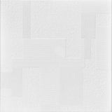 A La Maison Ceilings 1.67-ft x 1.67-ft Vectors Plain White Polystyrene Surface-mount Ceiling Tile (8-Pack, 21.6-sq ft / Case)