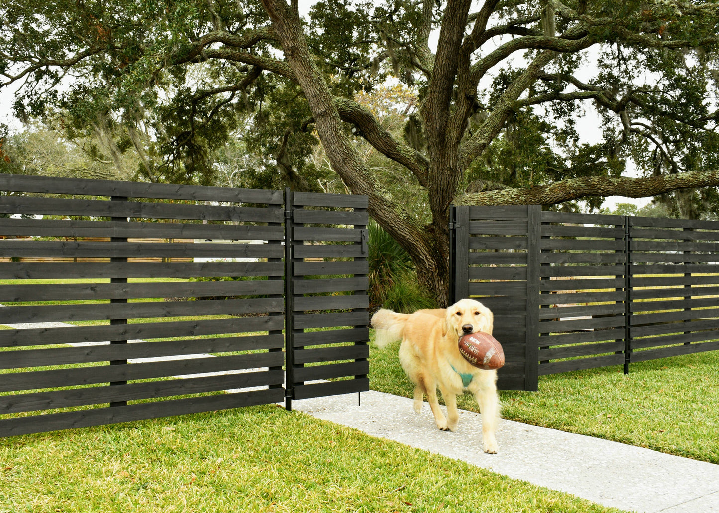 YARDLINK 4-ft x 6-ft Cedar Semi-privacy No Dig Fence Panel