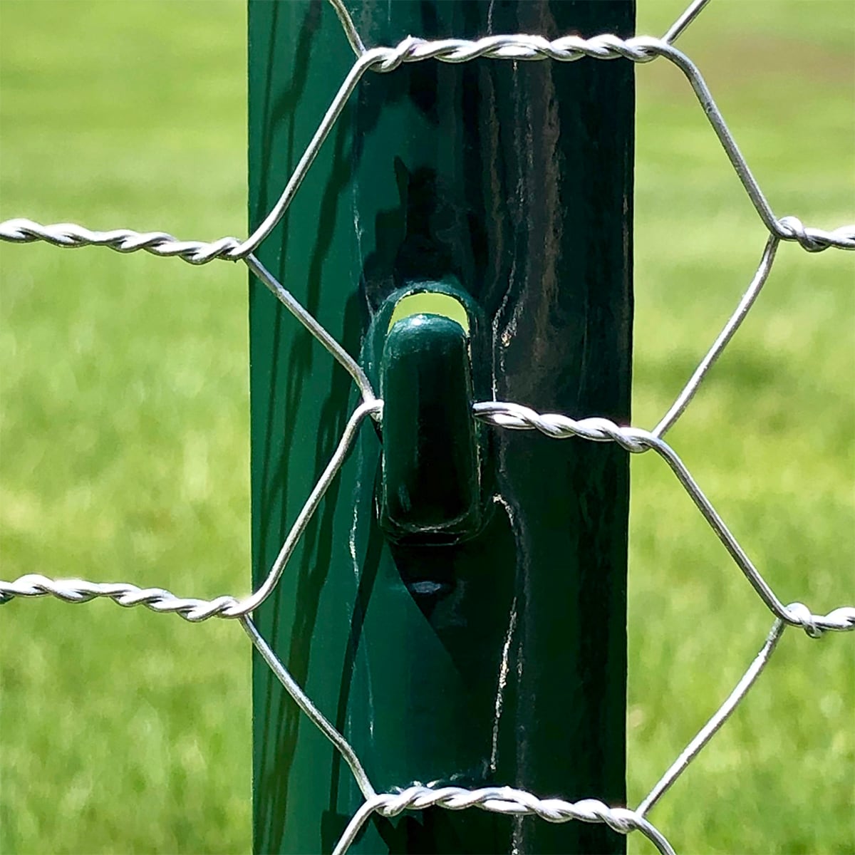 GARDEN CRAFT Gray/Silver Steel Chicken Wire Rolled Fencing with Mesh Size 1-in