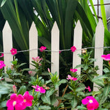 White Cedar Woven Wire Rolled Fencing, 15'x2'
