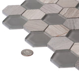 Apollo Tile (Sample) Gray 4-in x 4-in Glossy Glass Honeycomb Floor and Wall Tile