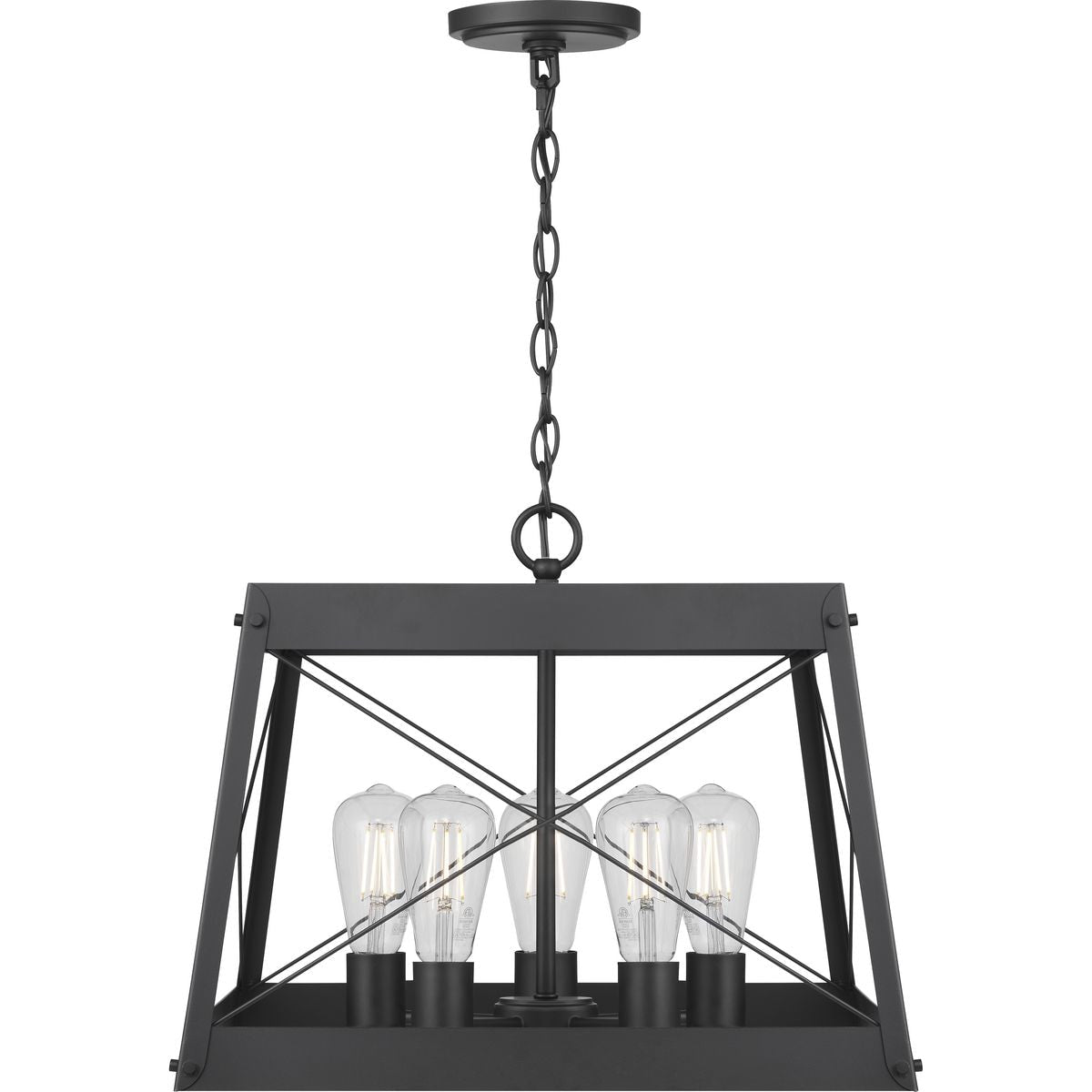 Progress Lighting Bradberry 5-Light Matte Black Farmhouse Square Medium Hanging Pendant Light