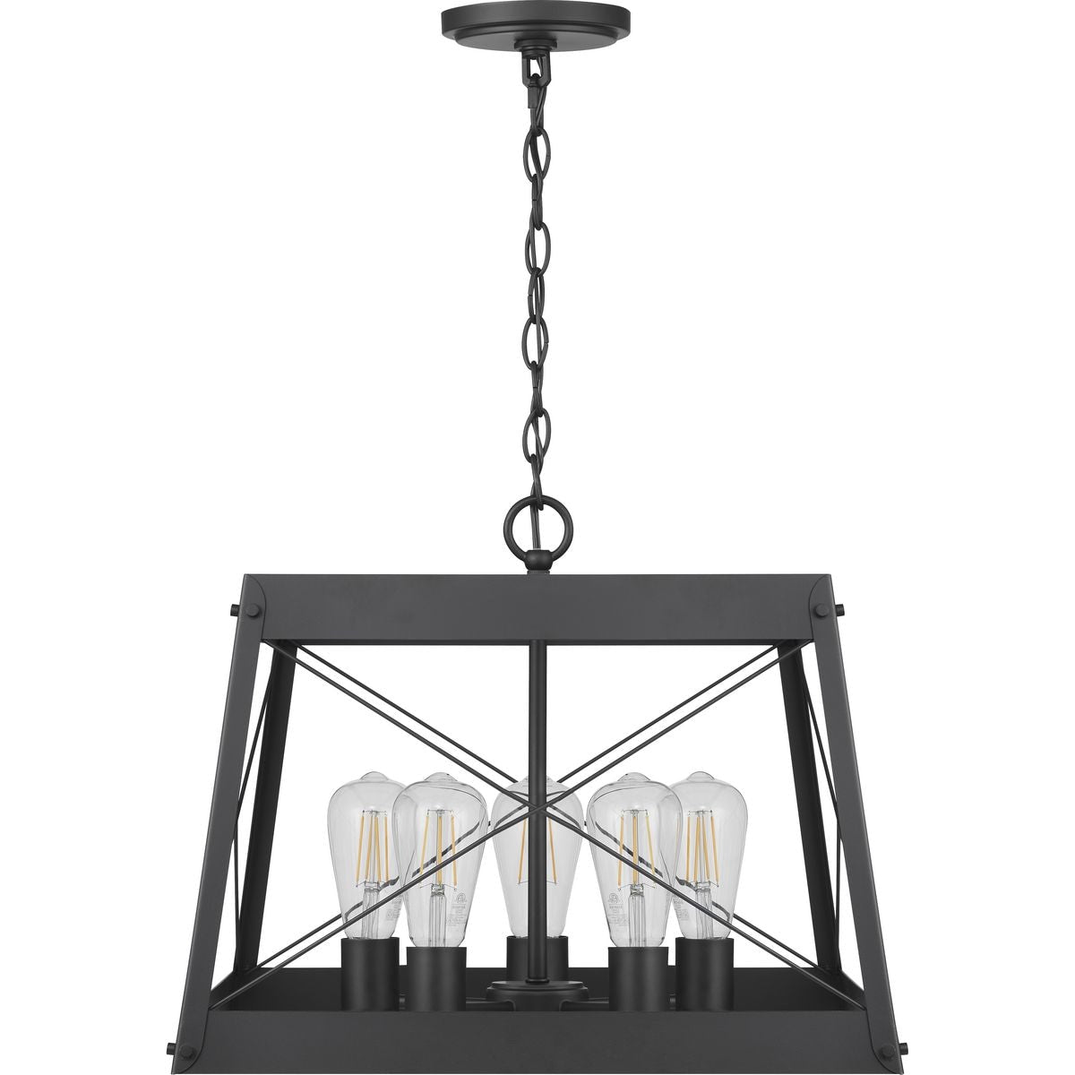Progress Lighting Bradberry 5-Light Matte Black Farmhouse Square Medium Hanging Pendant Light