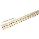 1-1/2 in. x 48 in. Bright Brass Continuous Hinge