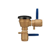 2 in. Pressure Vacuum Breaker Assembly - Super Arbor