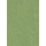 Forbo Flooring Systems Marmoleum Cinch Loc Seal Leaf 10-mm T x 12-in W x 36-in L Waterproof Tile Look Laminate Flooring (20.34-sq ft / Carton)