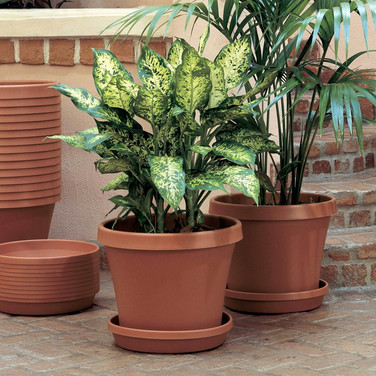 Bloem Terra Pot Planter 8" Terra Cotta