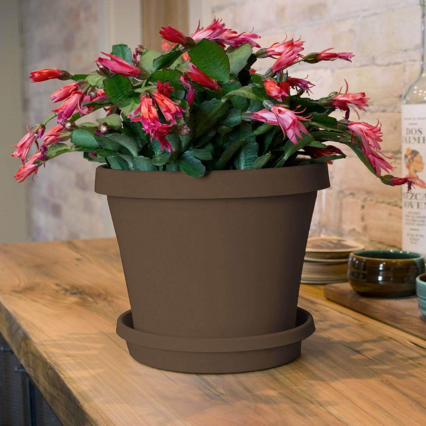 Bloem Terra Pot Planter 8" Chocolate