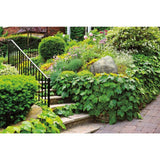 18 in. x 23 in. x 13 in. Fiberlite Medium Imitation Tan Landscape Rock - Super Arbor
