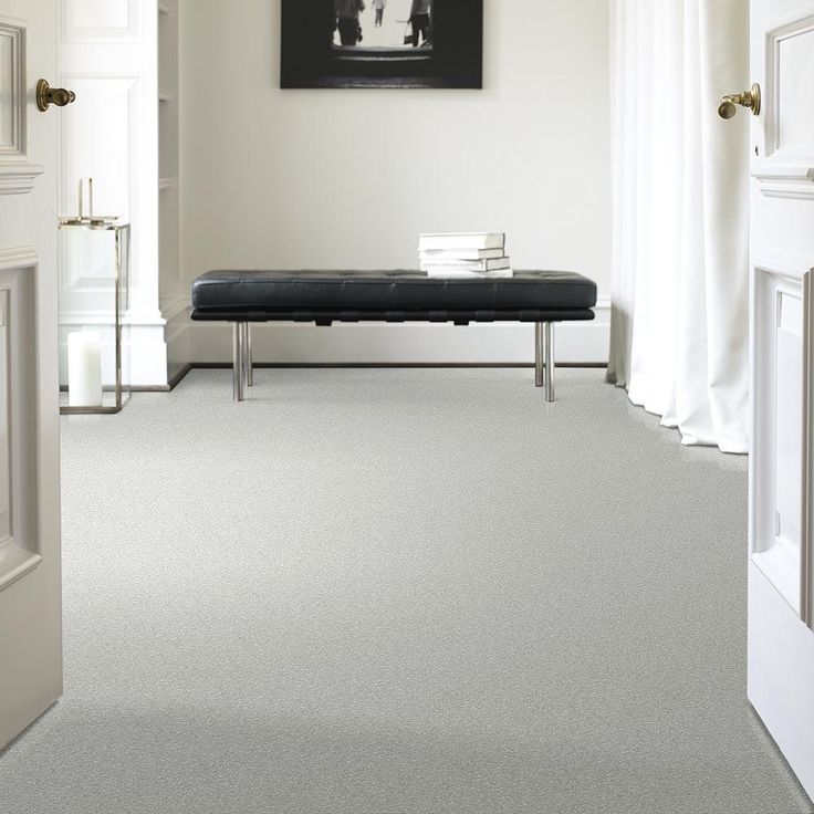 STAINMASTER PetProtect Baxter I Mac Textured Carpet (Indoor)